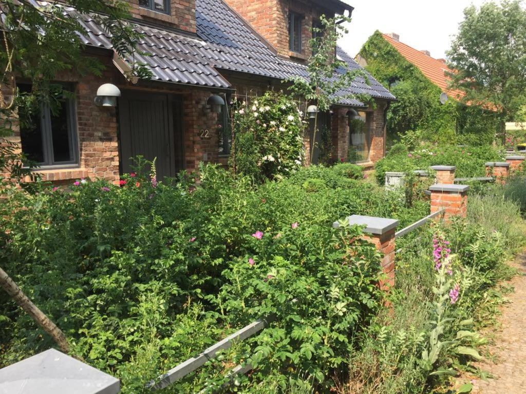 Große Wohnung / Haushälfte in Peetzig am See Angermunde Exterior foto